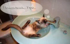 72081900_poned1_28.webp