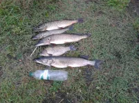 2012-09-23 17.44.11.webp