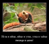 s3img_286717449_10738_1.webp