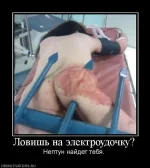 07ff3799bc6541004fb884e46c5.webp
