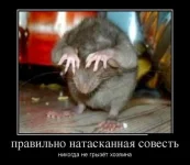 s3img_286717449_11070_1.webp