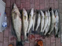 2012-09-28-119[1].webp