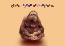 c.webp