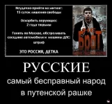 g2.webp