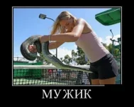 s3img_286717449_11677_1.webp