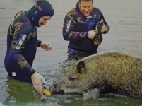 DSCN6698.webp