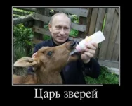 134903145334744.webp