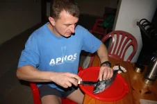 Sashimy.webp