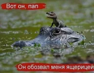 getImage (8).webp