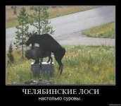 getImage (9).webp