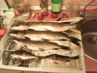 IMG_10082012_010044.webp