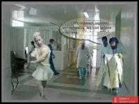 журавль.webp