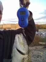 10102012121.webp