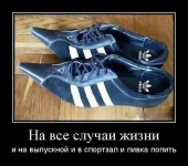 8T2bXE1KcXk.webp