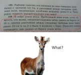 527674_292103594225147_290578343_n.webp