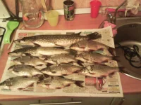 IMG_10142012_005348.webp