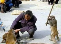 22foto10.webp