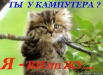 вт1.webp