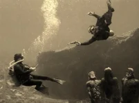 564043_497415376935670_969521735_n.webp