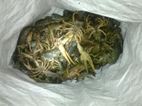 20102012271.webp