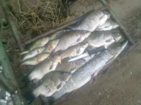 21102012123.webp