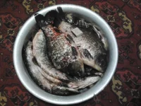 2012-10-21 20.02.55.webp