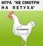 1351074966_podborka_28.webp