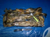 2012-10-21-222.webp