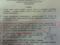 178957_10151080534361857_133193912_n.webp