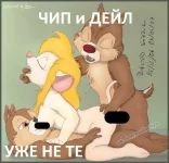 Bd7jZdTc9Rc.webp