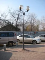 Копия IMG_0239.webp