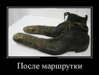 1351372103_demotivd.webp