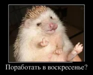 1350983035_00.webp