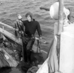 Spearfishing_10.webp