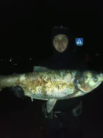 2012-11-03-095.webp