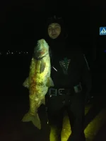 2012-11-03-094.webp