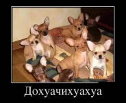 aef1b588d6138ce57e021ee5fe0bd6fb-w680.webp