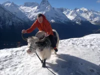 2012-11-12-294.webp