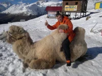 2012-11-12-299.webp