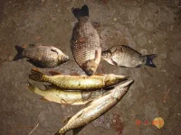 DSC09808.webp