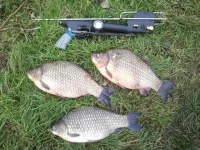 2012-11-21 13.48.30.webp