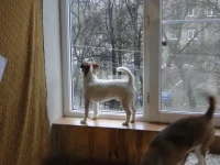 Изображение 242.webp