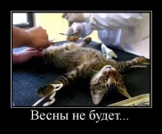 весна.webp