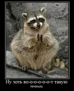 енот.webp