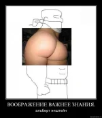 votgr.webp