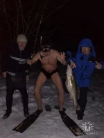 моржи)).webp
