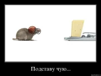 005.webp