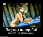 271289_devushka-ne-vorobej.webp