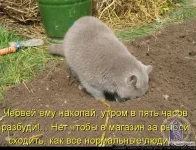 422483.webp