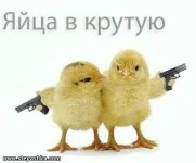 x_76c6eb3c.webp